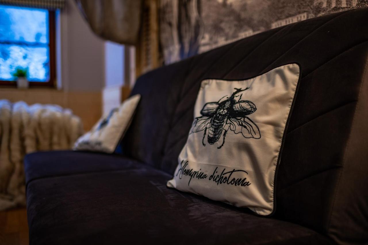 Art Z Bezplatnym Miejscem Postojowym W Hali Garazowej Apartment *